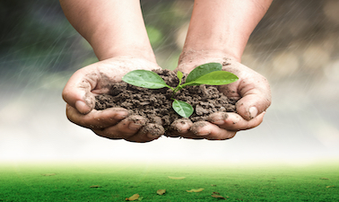 Sustainable Soil Management: Soil for life SLM91800